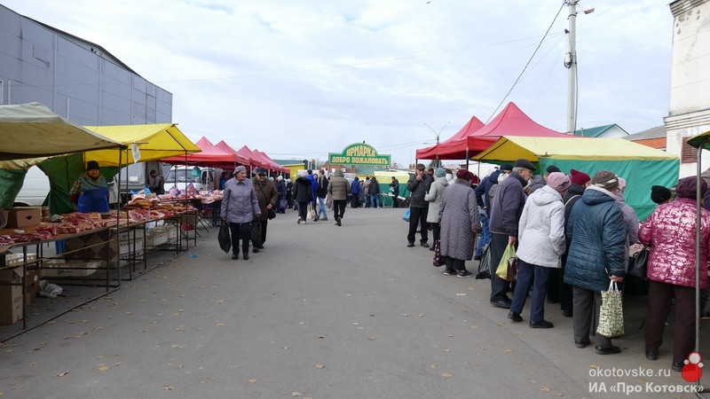 В Котовске прошла ярмарка «Выбирай своё» с участием более 40 местных производителей.
