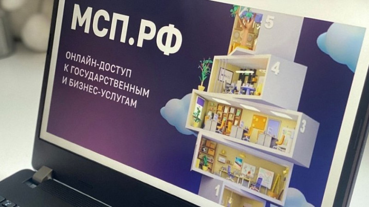 Тамбовская область вошла в ТОП-10 регионов РФ по доле предоставления мер поддержки через Цифровую платформу МСП.РФ.